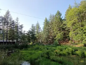 Parco Avventura Madonie