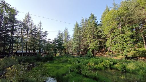 Parco Avventura Madonie
