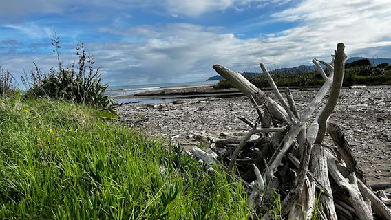 Whareroa Stream