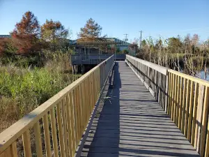 Cameron Prairie National Wildlife Refuge