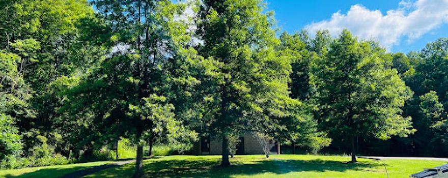 Willow Bay Campground