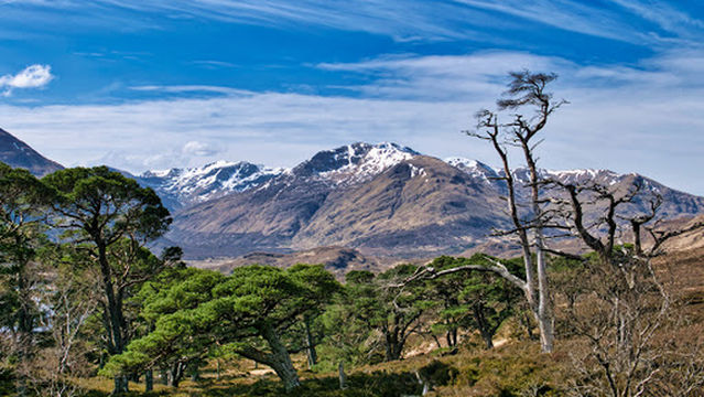 Loch Affric