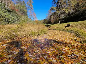 Rakes Mill Pond