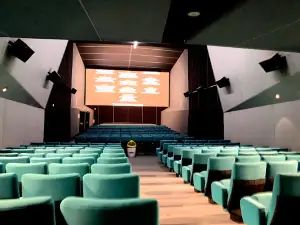 Cinéma Le France