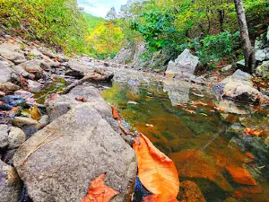 Iron Spring Roadside Park