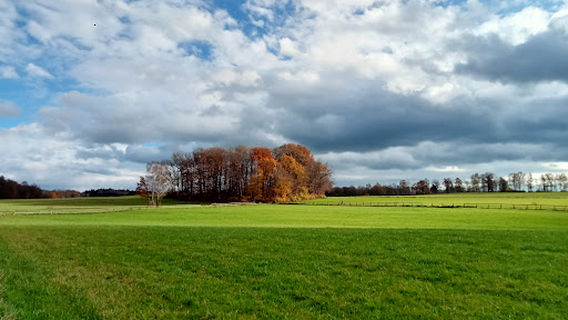 Leutstettener Moos