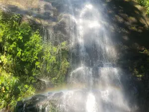 parc national Montaña de Comayagua