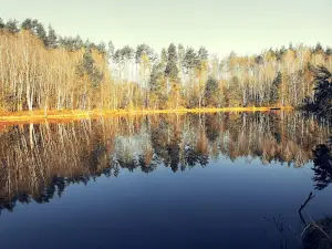 Jeziorak