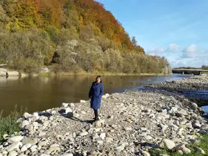 Tsentr Spadshchyny Vyhodsʹkoyi Vuzʹkokoliyky