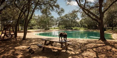 Poochie's Swim and Play Park