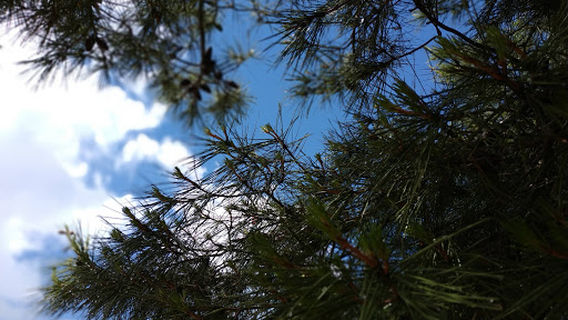 Santa Margerita Public Garden