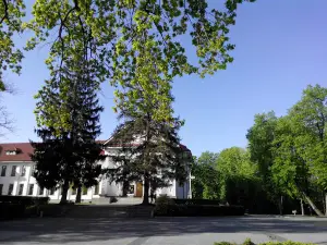 Shevchenko avenue