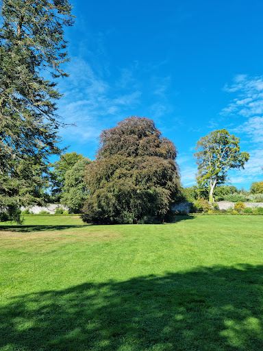 Coole Park Nature Reserve