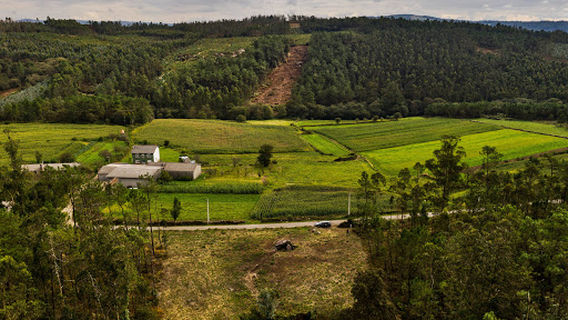 Dolmen de Pedra Cuberta