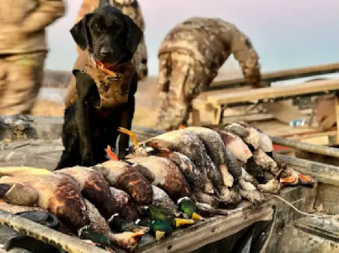 Arkansas County Guide Service