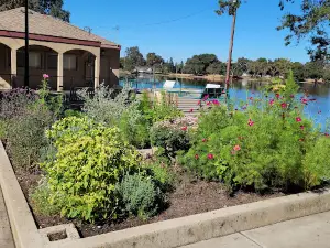 Lodi Lake Wilderness Area