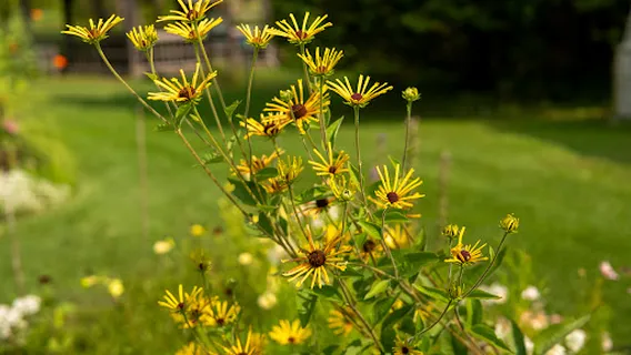 Merryspring Nature Center
