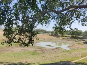 Diggi Shree Kalyan ji Mandir