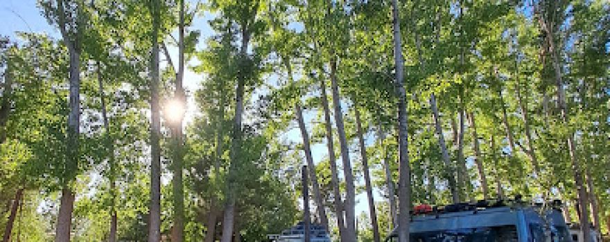 Camping Municipal Malargüe