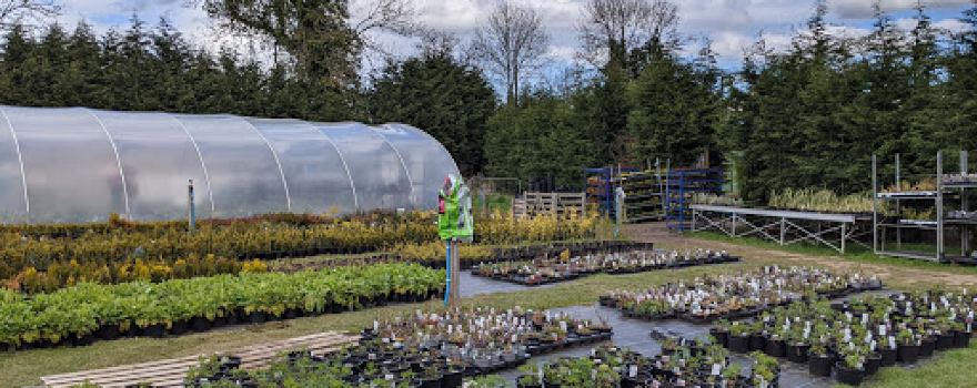 Little Ollies Garden Centre