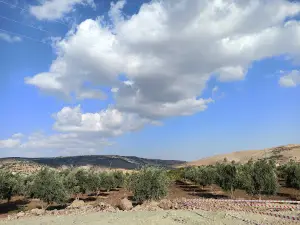 Kilis Martyrs Forest