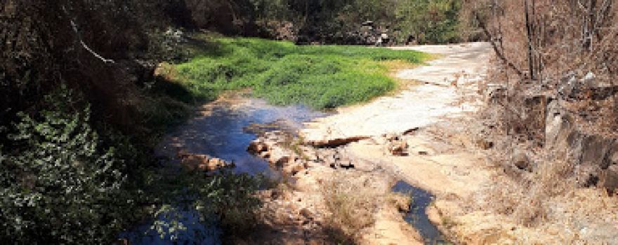 Barragem De Florestal
