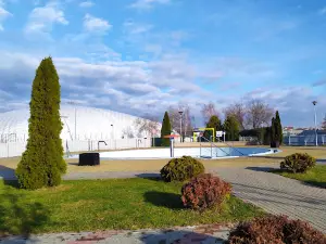 Municipal Sports and Recreation