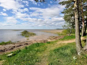 Trepimäe puhkeala