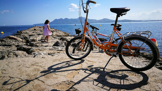 Platja de cans - Pollença