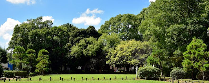 Warabi Castle Site Park