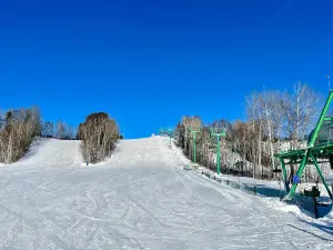 Do-Mi-Ski