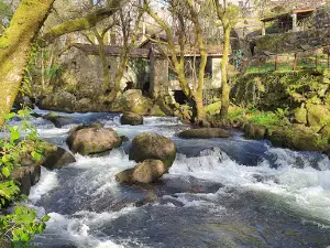 Pena dos Namorados