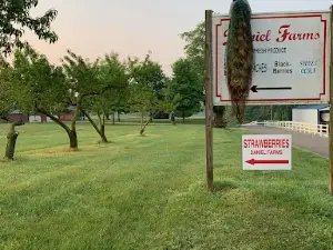 Daniel Farms