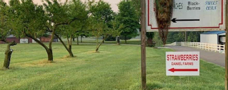 Daniel Farms