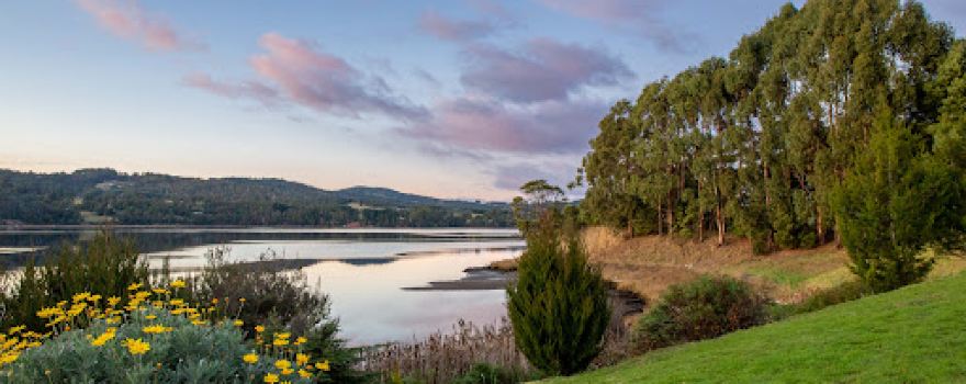 Heriots Point Vineyard and Boutique Accommodation