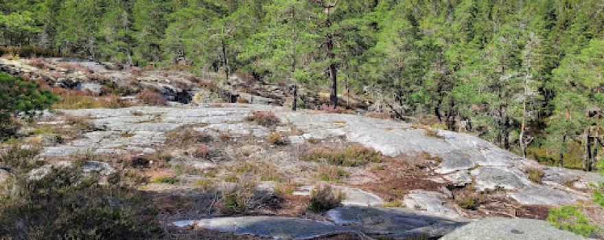 Sörknatten Baståsen Nature reserve