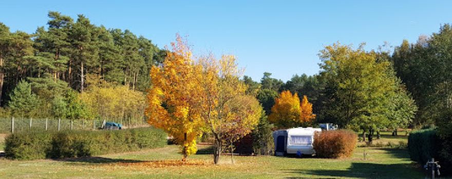 Campingplatz Waldsee