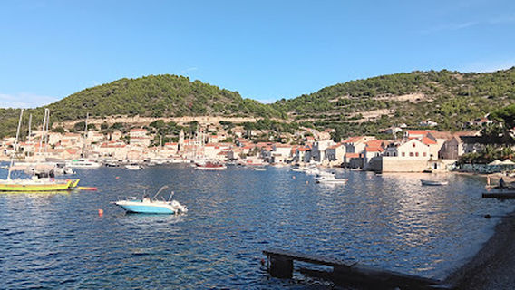 Vis