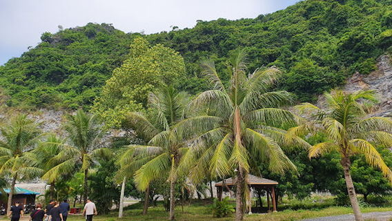 Cát Hải