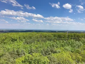 Lookout Tower on the Golden Mount