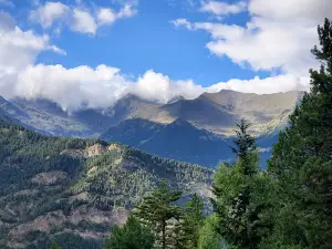 Bosc dels Menairons