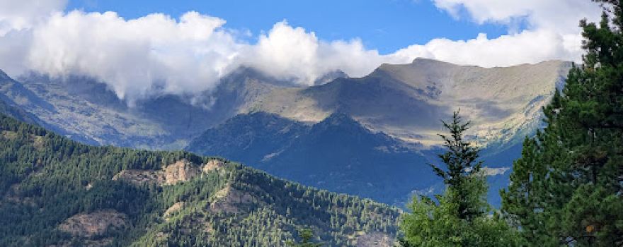 Bosc dels Menairons