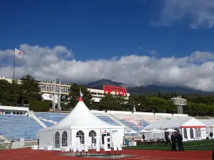 центральный стадион Артека