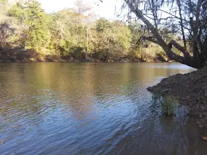 Hawkinsville Park