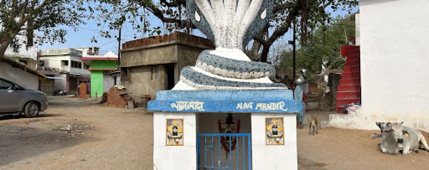 Shri Danteshwari Temple