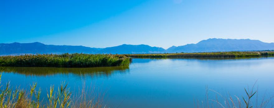 Ogden Bay Waterfowl Management Area