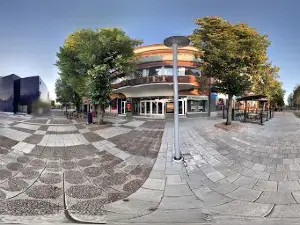 Myntet