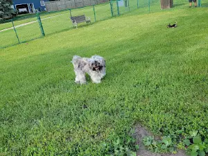 Orange City Dog Bark Park