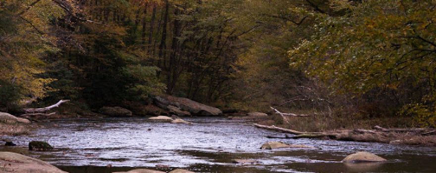 Millstone Creek