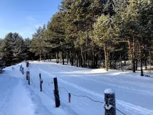 Territoriya Otdykha Gagarino